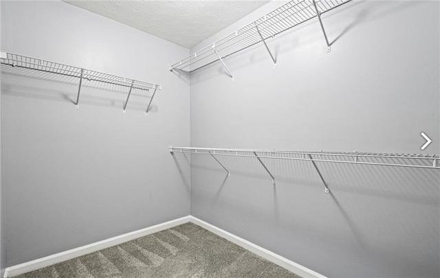 1332 Adcox Sq, Stone Mountain, GA 30088 - spacious closet featuring carpet