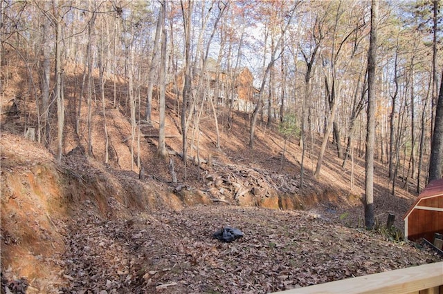 view of local wilderness