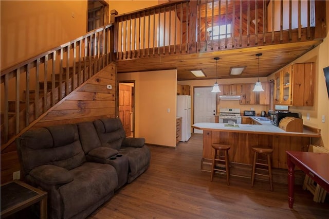 living room featuring hardwood / wood-style floors and a towering ceiling