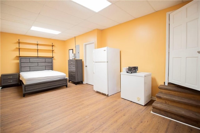 bedroom featuring white refrigerator, light hardwood / wood-style floors, fridge, and a paneled ceiling