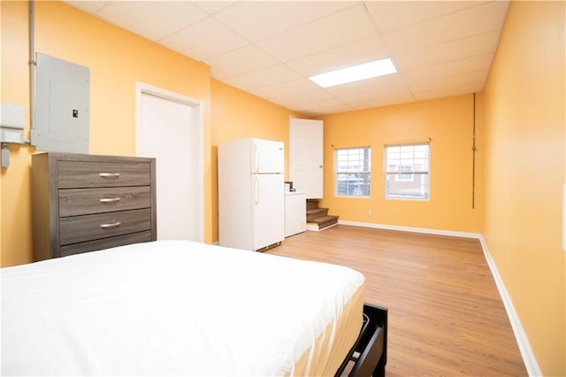 bedroom featuring light wood-type flooring, white refrigerator, electric panel, and a drop ceiling