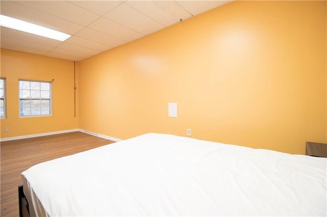 bedroom featuring wood-type flooring