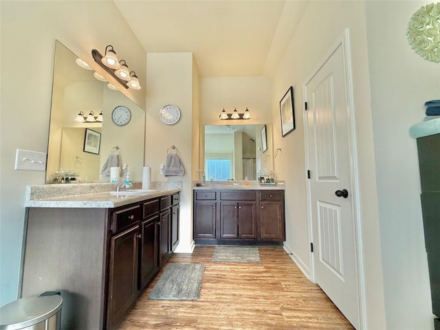 full bathroom with a sink, two vanities, and wood finished floors