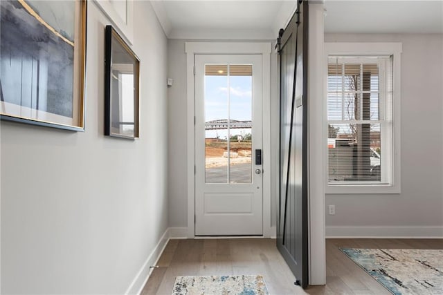 4200 Legacy Ln Unit 22, Acworth, GA 30101 - entryway featuring healthy amount of natural light, light wood finished floors, a barn door, and baseboards