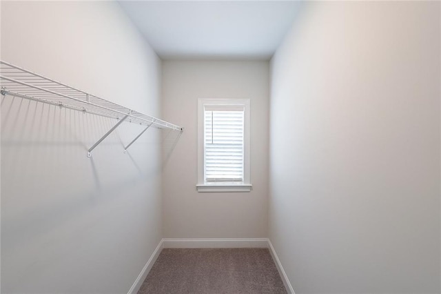 5789 Creek Indian Dr, Sugar Hill, GA 30518 - spacious closet with carpet floors