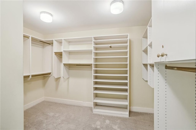 walk in closet with light colored carpet