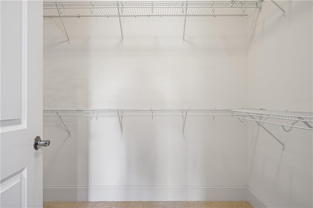 view of spacious closet