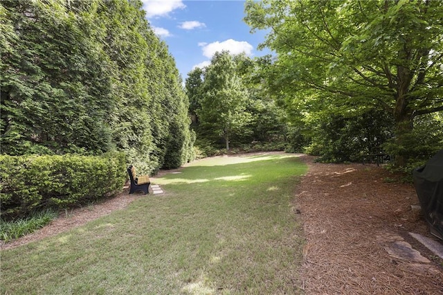 view of green lawn
