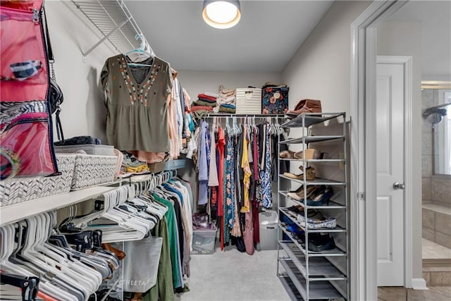 view of walk in closet