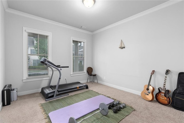 3380 Labrouste Cv, Duluth, GA 30097 - workout room featuring crown molding, carpet flooring, and baseboards