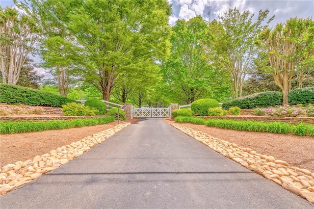 view of asphalt road featuring a gate