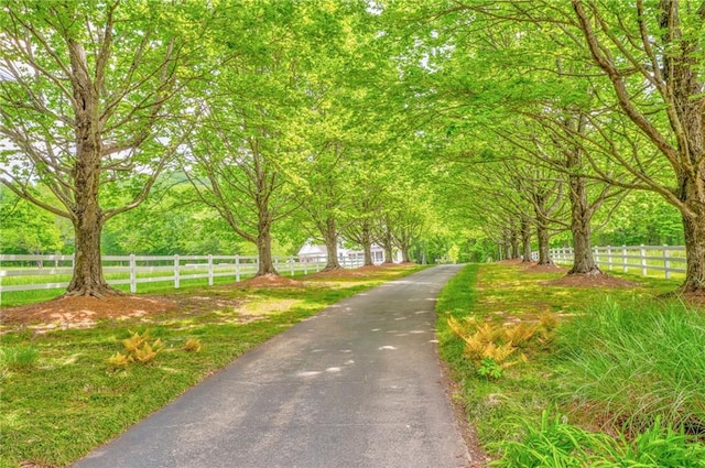 view of asphalt driveway