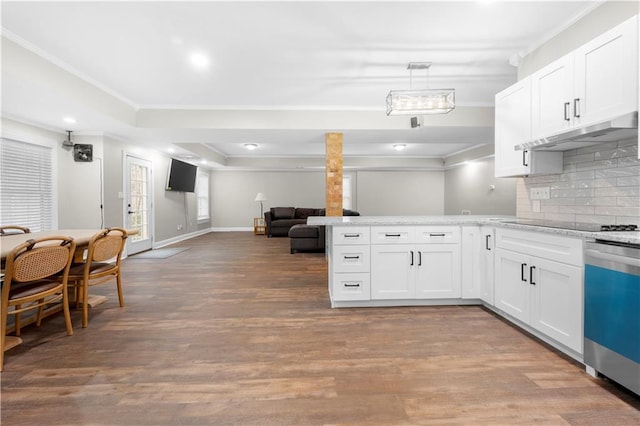 kitchen featuring under cabinet range hood, wood finished floors, white cabinets, decorative backsplash, and crown molding