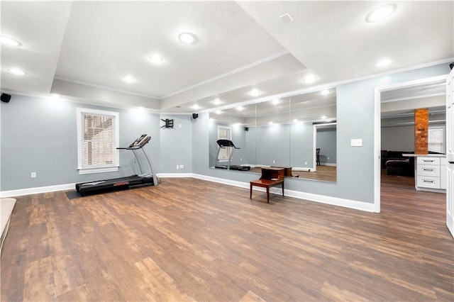 workout area featuring ornamental molding, a raised ceiling, and wood finished floors