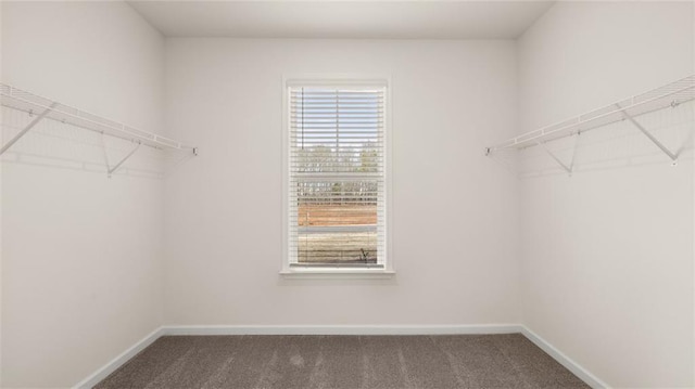 spacious closet featuring dark colored carpet