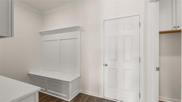 mudroom featuring crown molding and dark hardwood / wood-style flooring