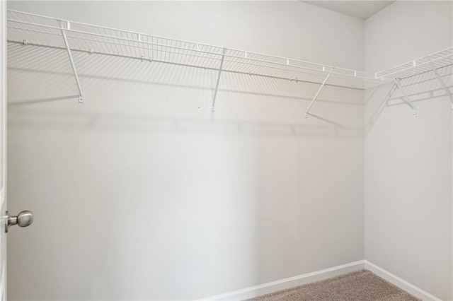 350 Lanier Cir, Woodstock, GA 30189 - spacious closet with carpet