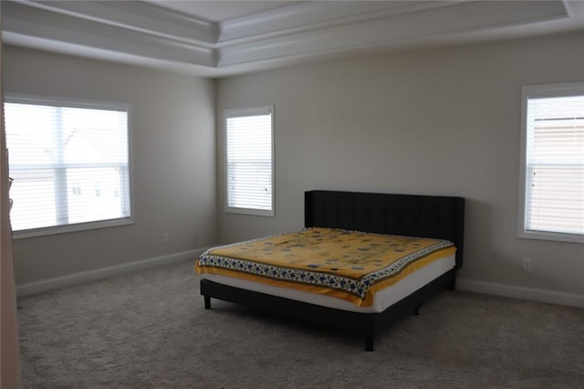 carpeted bedroom featuring multiple windows and a tray ceiling