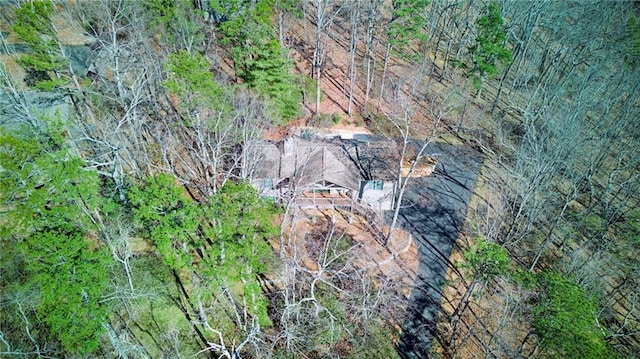71 Yellow Root Dr, Big Canoe, GA 30143 - aerial view of property's location