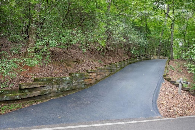 71 Yellow Root Dr, Big Canoe, GA 30143 - view of home's community featuring a forest view and driveway