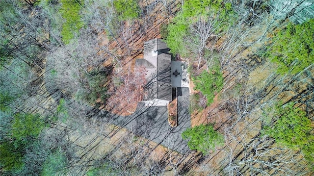 71 Yellow Root Dr, Big Canoe, GA 30143 - aerial view of property's location