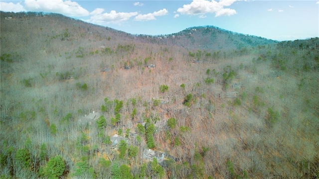 71 Yellow Root Dr, Big Canoe, GA 30143 - view of mountain background