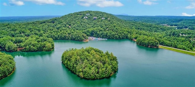 71 Yellow Root Dr, Big Canoe, GA 30143 - drone / aerial view of a heavily wooded area and a water and mountain view