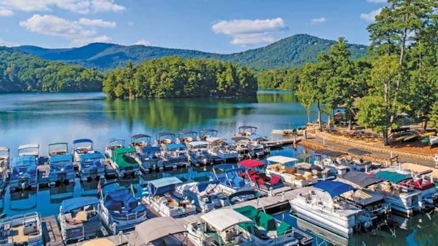 71 Yellow Root Dr, Big Canoe, GA 30143 - water view with mountains and a forest