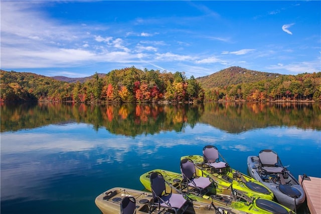 71 Yellow Root Dr, Big Canoe, GA 30143 - dock with a view of trees and a water and mountain view