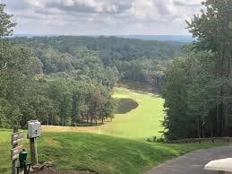 71 Yellow Root Dr, Big Canoe, GA 30143 - view of home's community with a yard and a wooded view