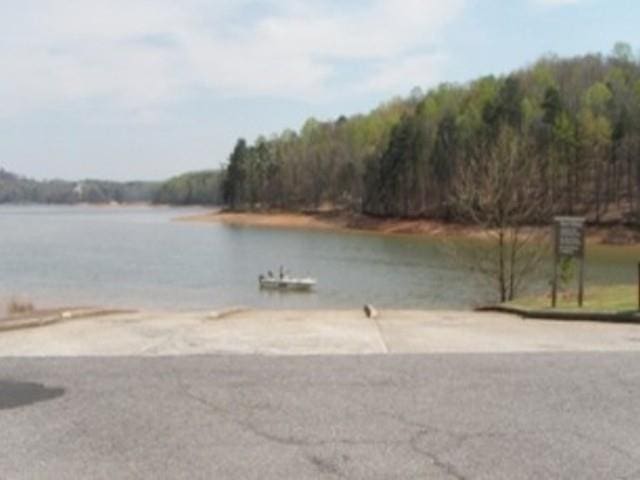 3363 War Hill Park Rd, Dawsonville, GA 30534 - water view