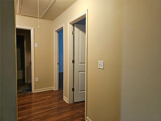 hall featuring dark hardwood / wood-style floors