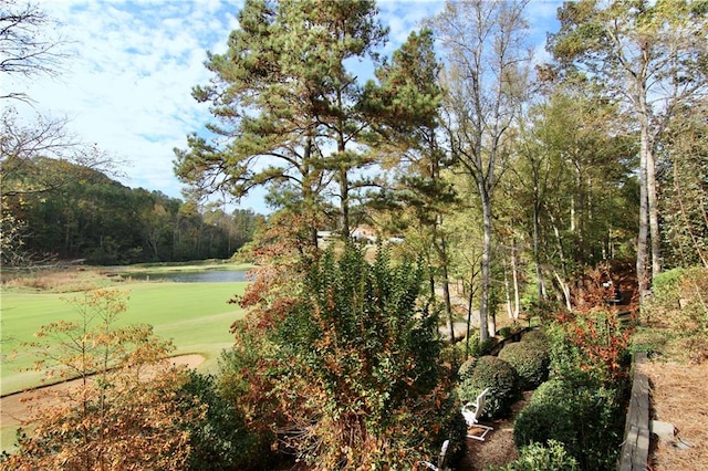 view of home's community with a view of trees and a water view