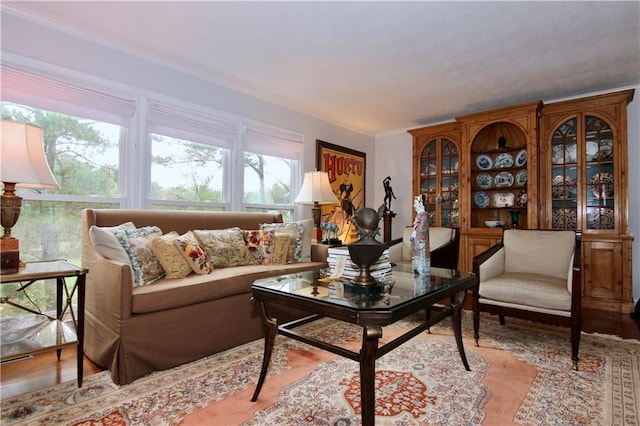 living room featuring ornamental molding and wood finished floors