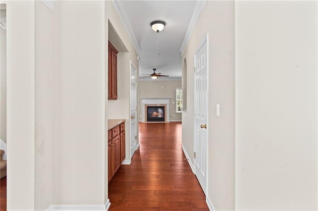 hall featuring crown molding and dark hardwood / wood-style flooring