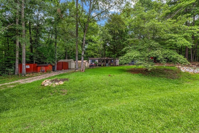 131 W Blue Branch Rd, Eatonton, GA 31024 - view of green lawn with a storage unit