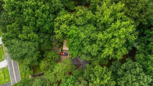 131 W Blue Branch Rd, Eatonton, GA 31024 - aerial view