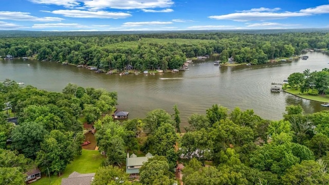 131 W Blue Branch Rd, Eatonton, GA 31024 - drone / aerial view of a large body of water