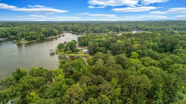 131 W Blue Branch Rd, Eatonton, GA 31024 - bird's eye view of a forest and a large body of water