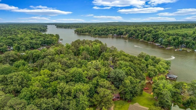 131 W Blue Branch Rd, Eatonton, GA 31024 - bird's eye view of a heavily wooded area and a large body of water