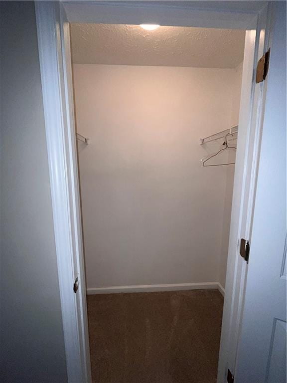 142 Benfield Cir, Cartersville, GA 30121 - walk in closet featuring dark colored carpet