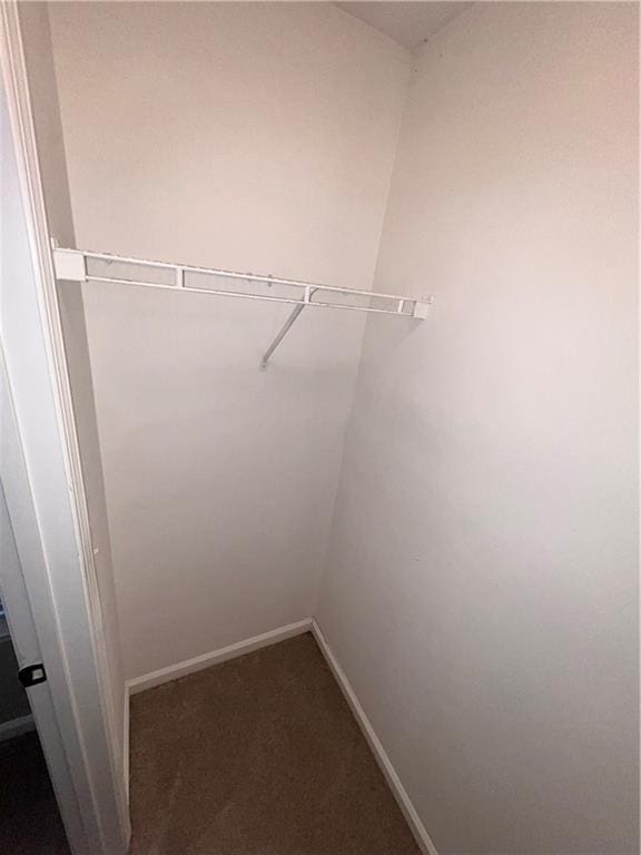 142 Benfield Cir, Cartersville, GA 30121 - walk in closet with carpet