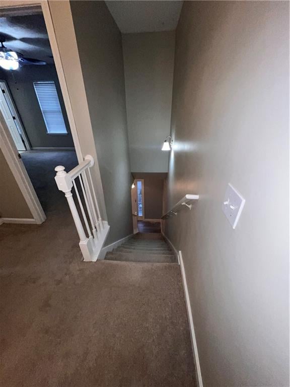 142 Benfield Cir, Cartersville, GA 30121 - stairway with carpet flooring