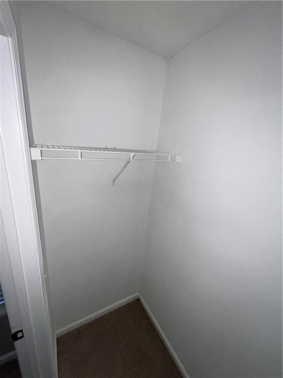 142 Benfield Cir, Cartersville, GA 30121 - walk in closet featuring dark carpet