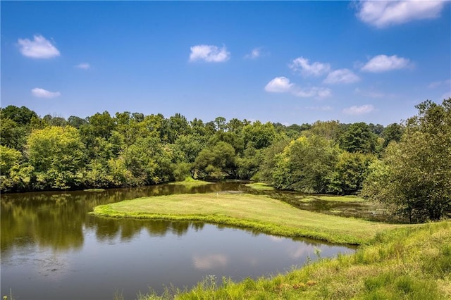 property view of water featuring a view of trees