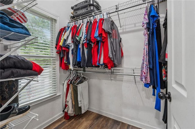 58 Hampton Forest Ct, Dahlonega, GA 30533 - walk in closet featuring wood finished floors