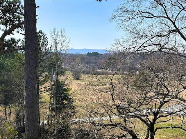 mountain view with a forest view