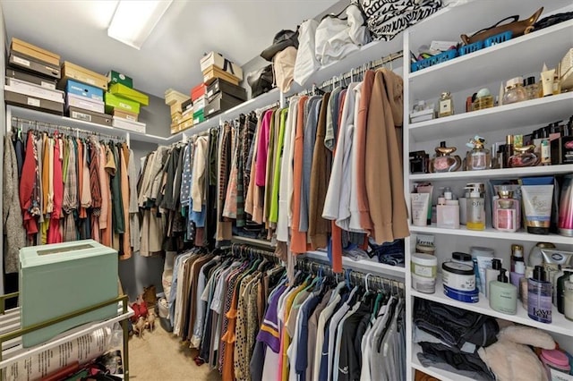 spacious closet with carpet flooring