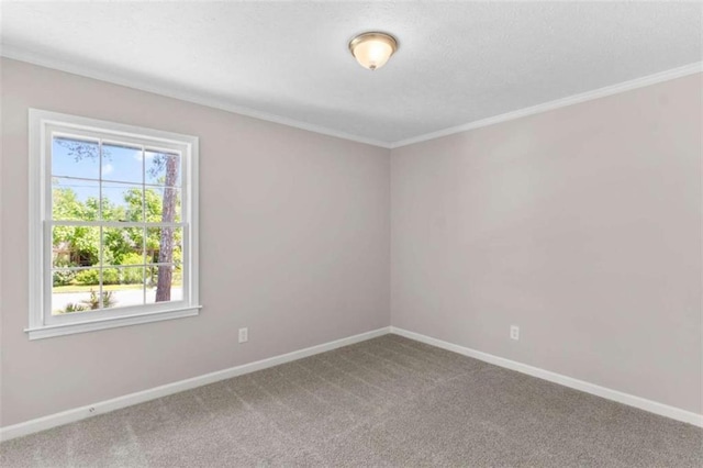 carpeted empty room with baseboards and ornamental molding
