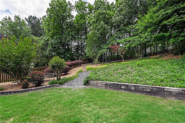 1997 Shaker Falls Ln, Lawrenceville, GA 30045 - view of yard